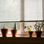 Window Coverings That Protect Children in Houston Homes